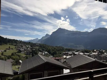 Appartement 45m² balcon sud, 320m des pistes aux Carroz : photo 7