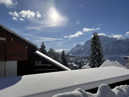 Appartement 45m² balcon sud, 320m des pistes aux Carroz : photo 10