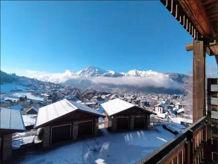 Appartement 45m² balcon sud, 320m des pistes aux Carroz : photo 14