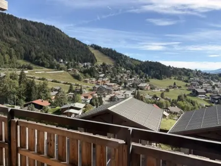 Appartement 45m² balcon sud, 320m des pistes aux Carroz : photo 15