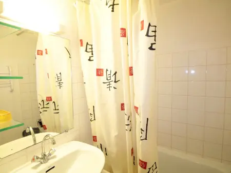 Studio mezzanine 4-5 pers aux Carroz, 450m des pistes : photo 9