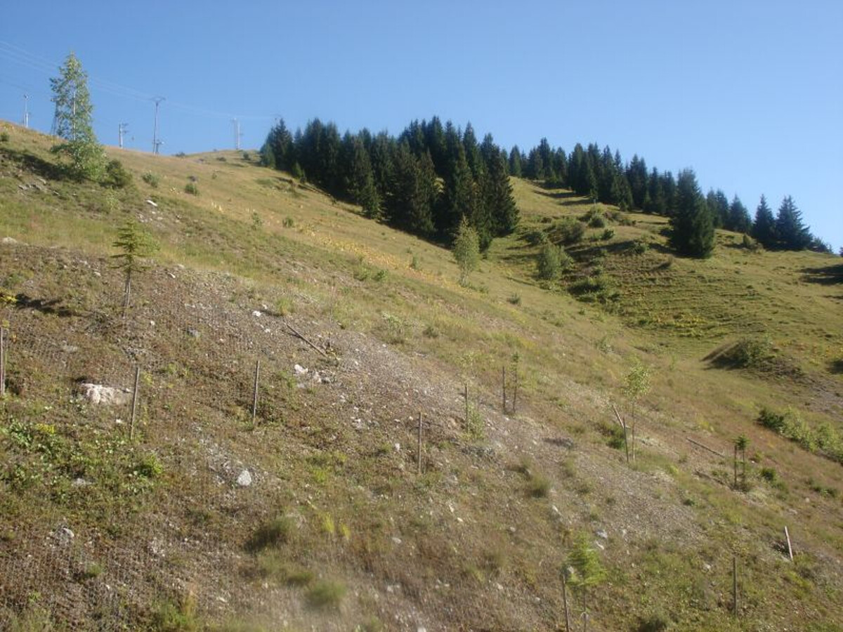 Appartement 8 pers, balcon Sud, parking couvert à Courchevel 1650 - Photo 5