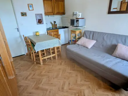 Studio 3 couchages au pied des pistes avec balcon : photo 3