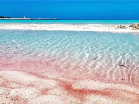 Gaia Verde, appartement 3 pièces à San Vito lo Capo : photo 2