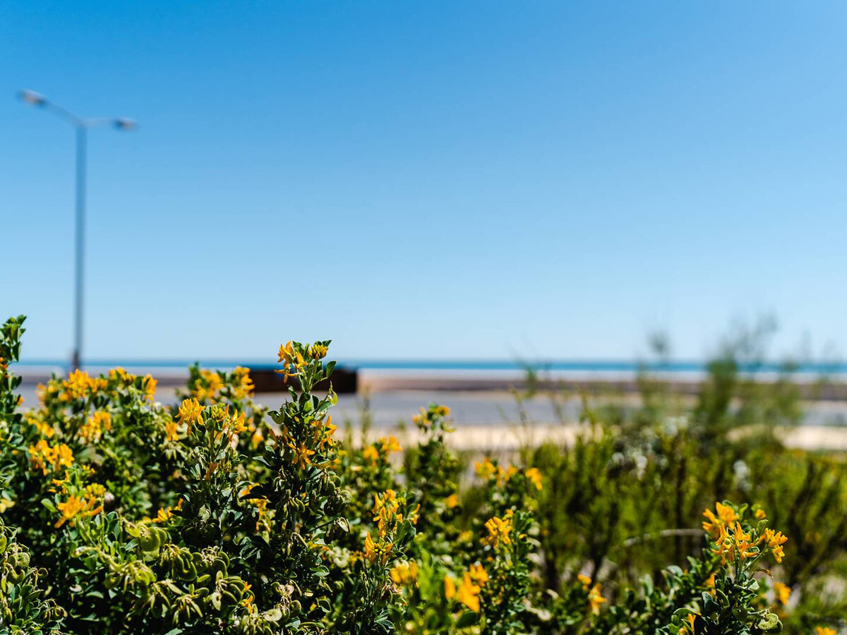 T2 Narbonne-Plage, 30m plage, balcon, parking gratuit - Photo 7