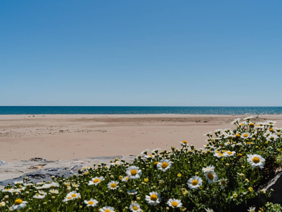 T2 Narbonne-Plage, 30m plage, balcon, parking gratuit - Photo 9