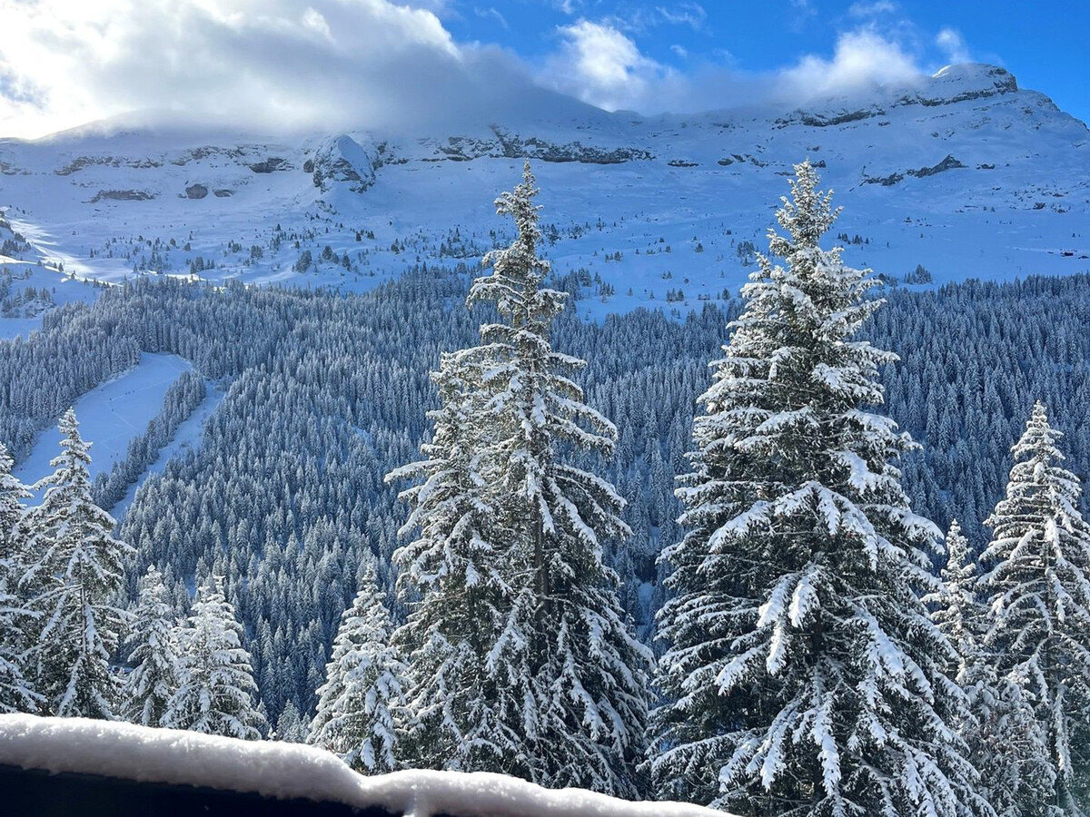 Studio rénové avec cabine, balcon Sud à Flaine - Photo 9