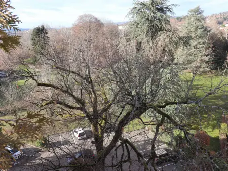 Superbe T2 avec terrasse de 60m² et parking privé à Annecy - Photo 5