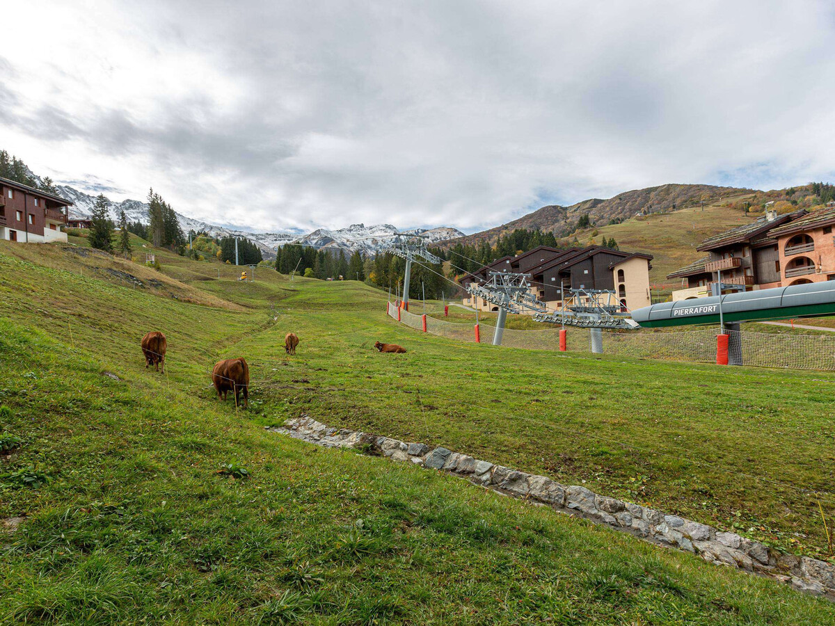 Appartement skis aux pieds à Valmorel, 5 pers., animaux ok - Photo 11