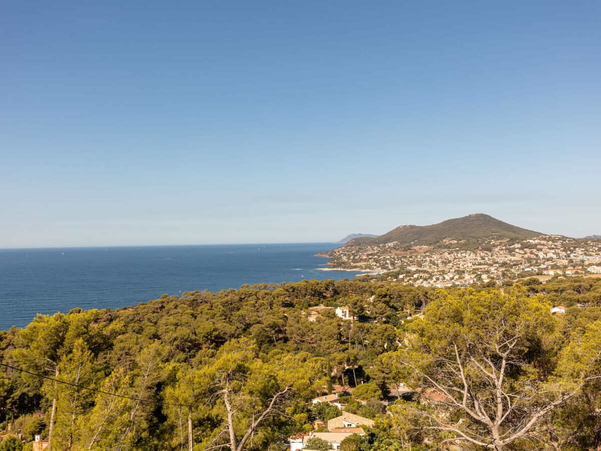 Appartement Chantelyre avec vue mer à Carqueiranne - Photo 3