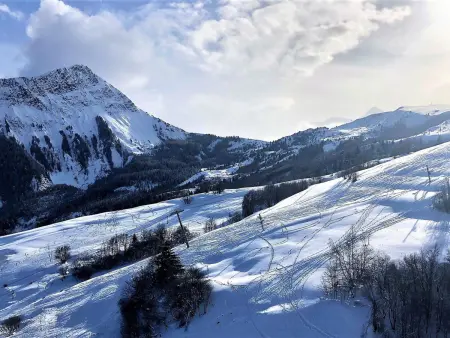 Studio 22m² au 12e étage - Accès pistes skis aux pieds : photo 8