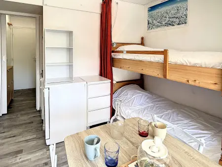 Studio 22m² au 12e étage - Accès pistes skis aux pieds : photo 11