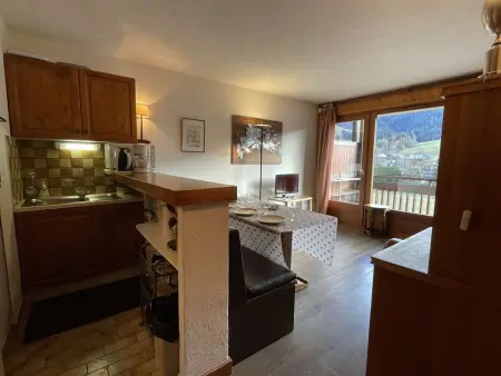 T2 cabine 37m² pistes et village à 600m, parking : photo 2