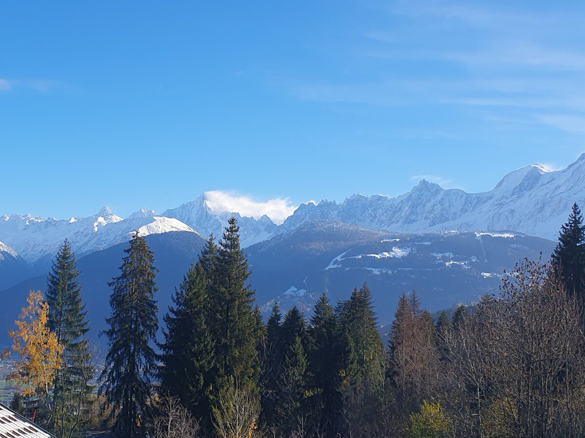 Appartement 3 pièces Combloux, vue Mont-Blanc - Photo 1