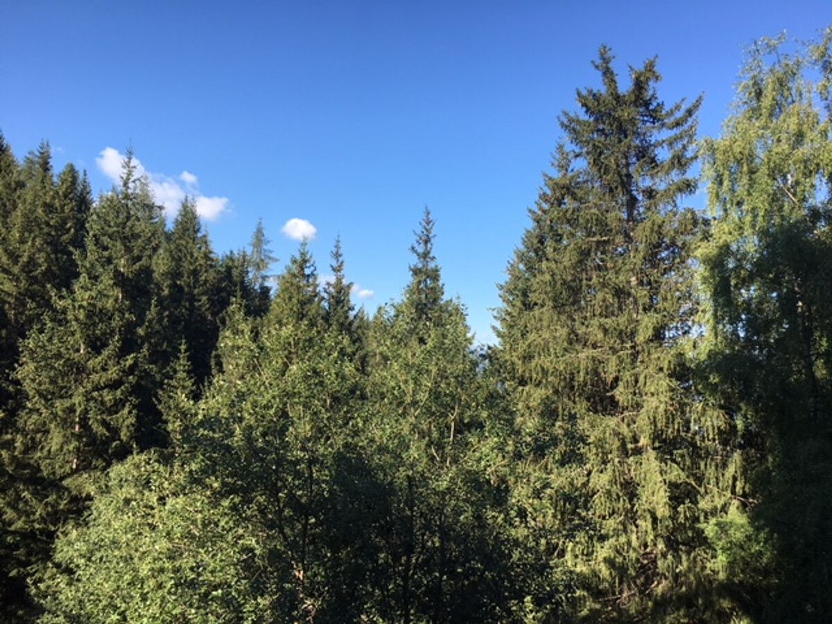 Appartement 4/5 pers aux Arcs 1800, balcon vue vallée - Photo 13