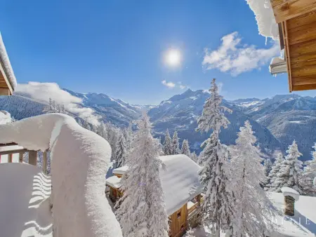 Apt 5P, 10 pers., terrasse sud, 400m pistes : photo 22