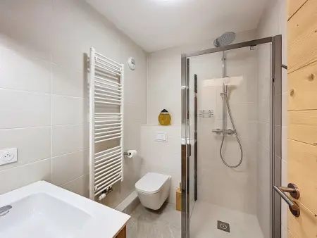 Appartement 4 chambres vue Mont-Blanc, Combloux : photo 14