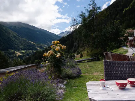 Mayen du Bleusy, Chalet 4 personnes à Nendaz - Photo 25