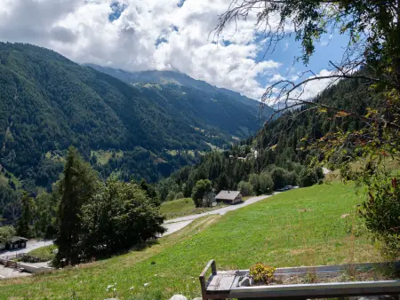 Mayen du Bleusy, Chalet 4 personnes à Nendaz - Photo 28