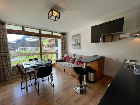 Studio 30 m² ski aux pieds, balcon sud à Morzine : photo 16