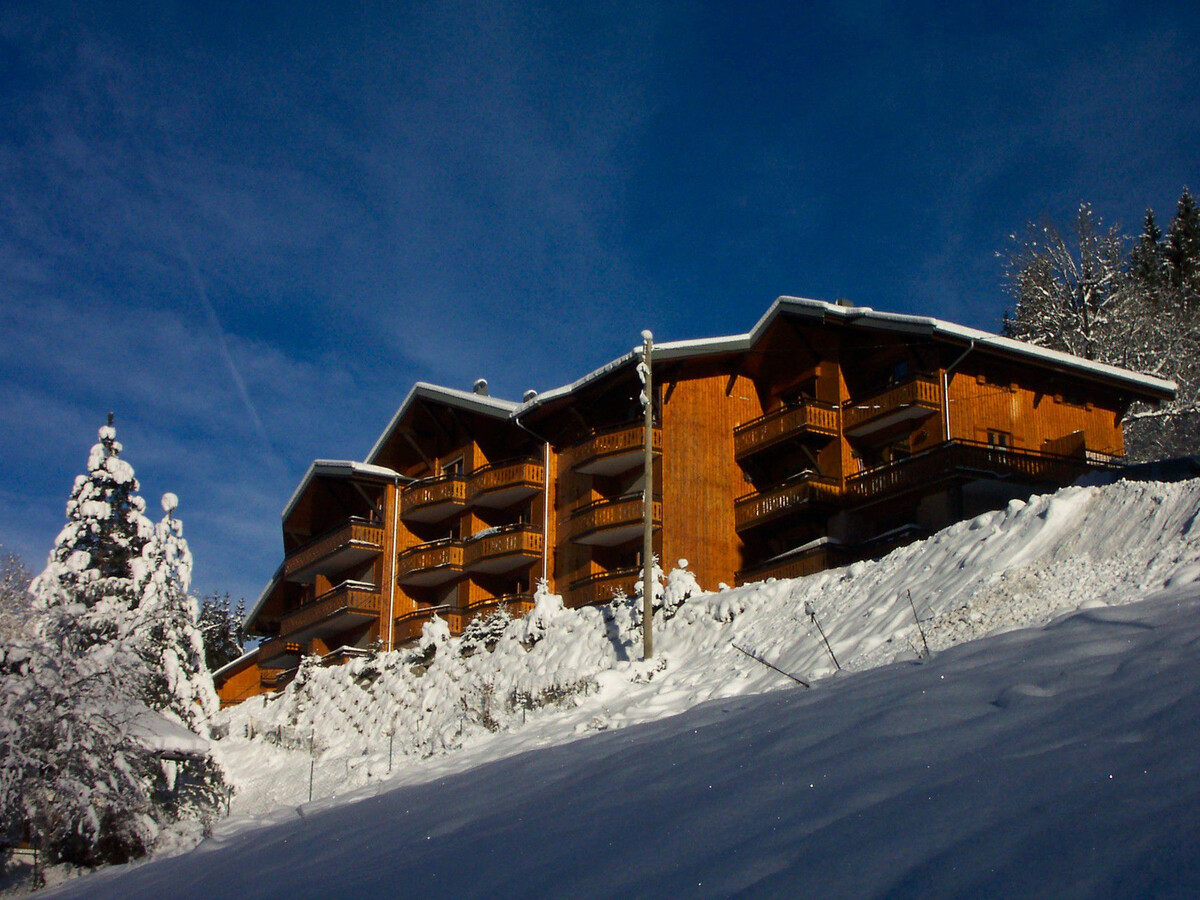 T2 4 pers. au pied des pistes de Morzine avec wifi - Photo 13