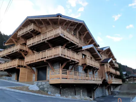 Appartement 3* centre Morzine, 100m des pistes : photo 13