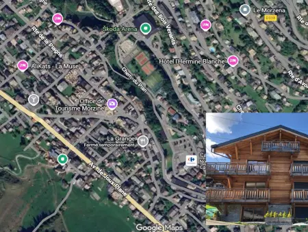 Appartement 3* centre Morzine, 100m des pistes : photo 14