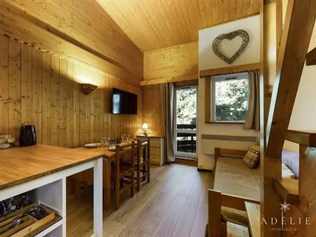Studio mezzanine 4 pers, balcon, 100 m des pistes : photo 2