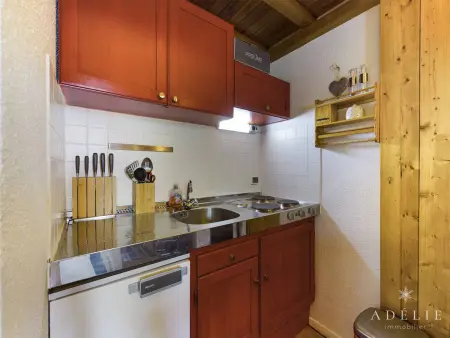 Studio mezzanine 4 pers, balcon, 100 m des pistes : photo 3