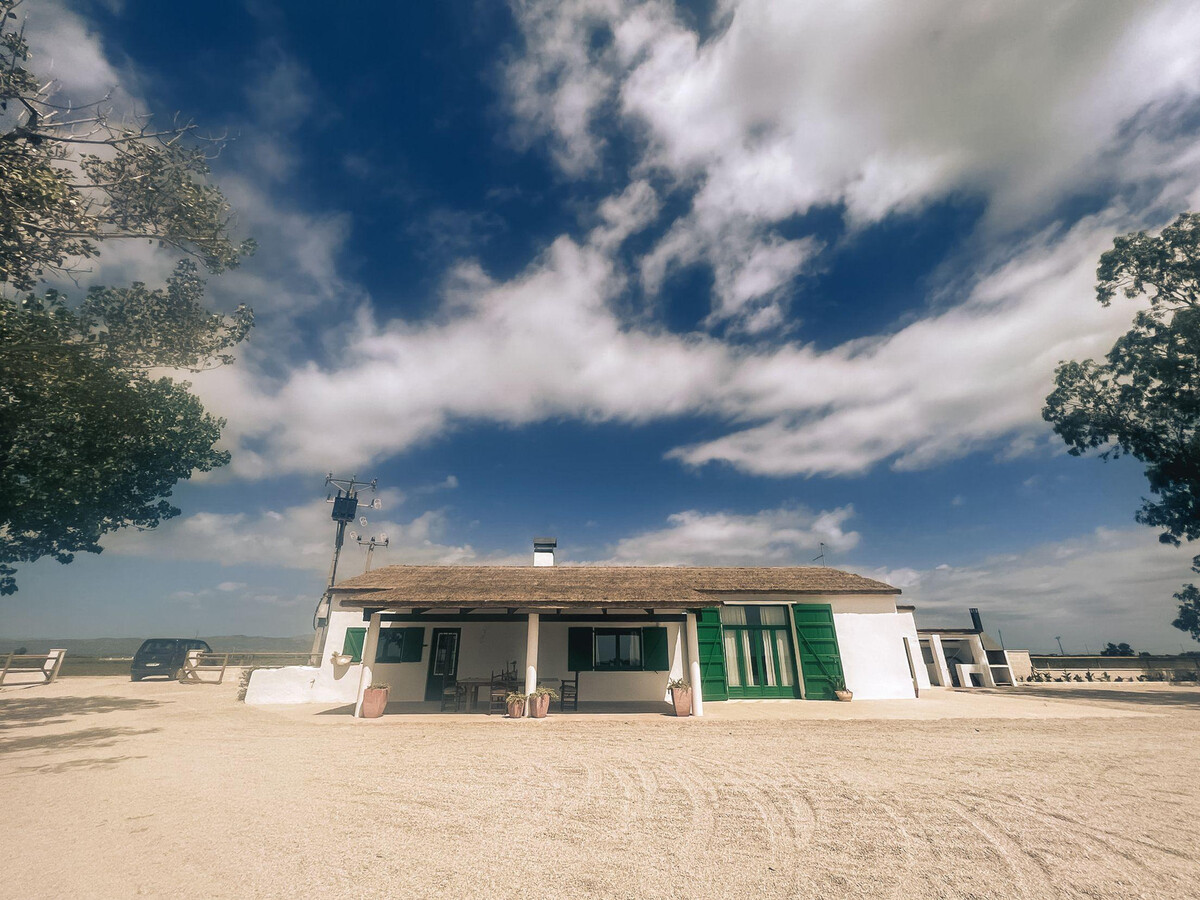 Maison de campagne 4 chambres dans le delta de l'Èbre - Photo 2