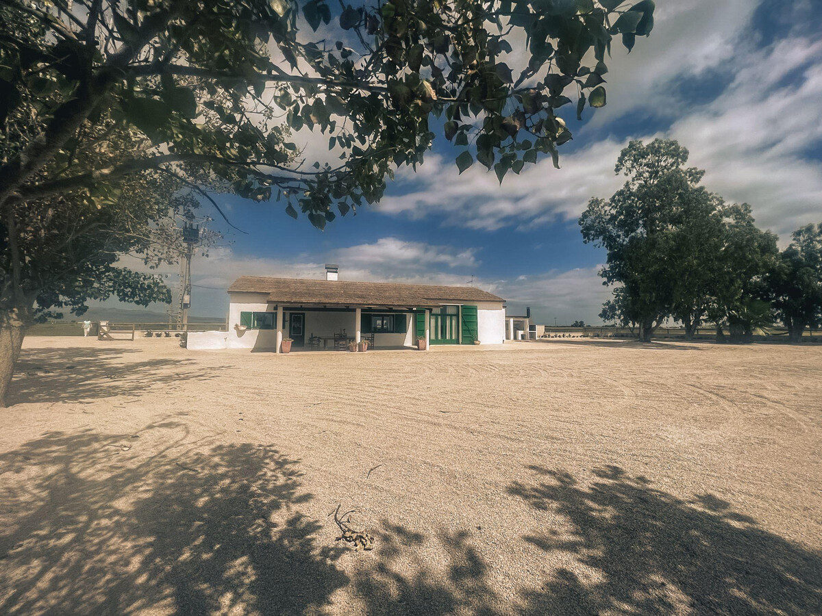 Maison de campagne 4 chambres dans le delta de l'Èbre - Photo 3
