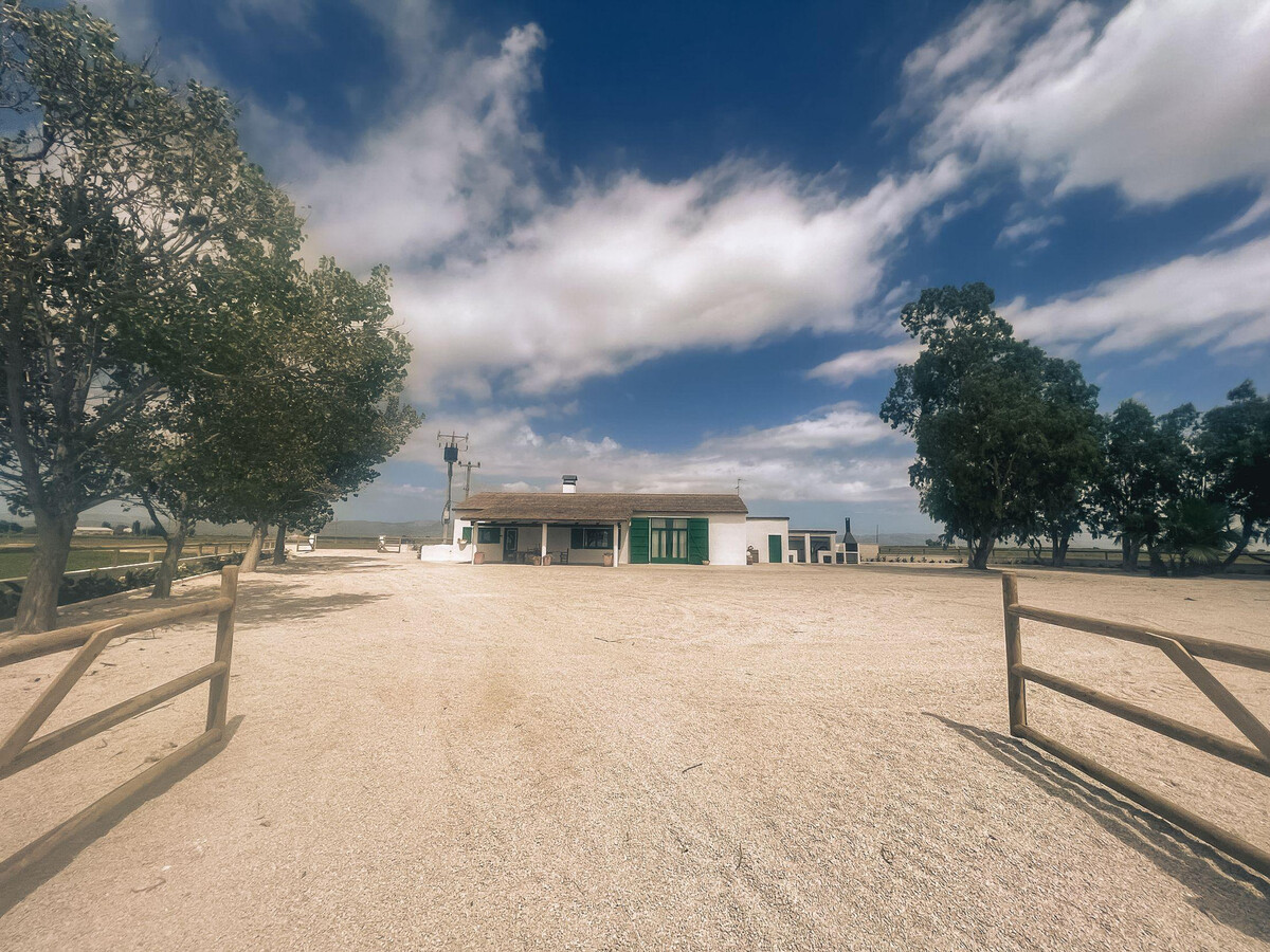 Maison de campagne 4 chambres dans le delta de l'Èbre - Photo 4