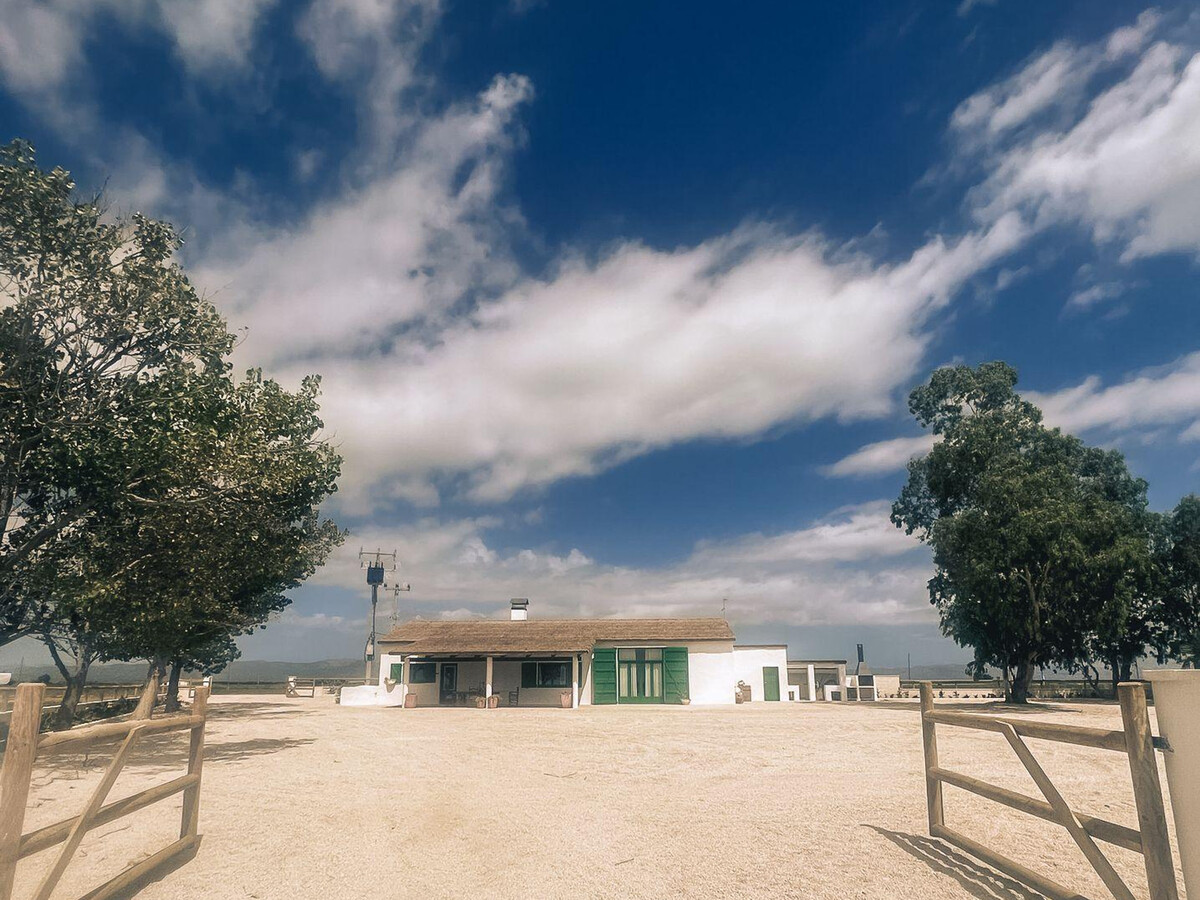 Maison de campagne 4 chambres dans le delta de l'Èbre - Photo 5