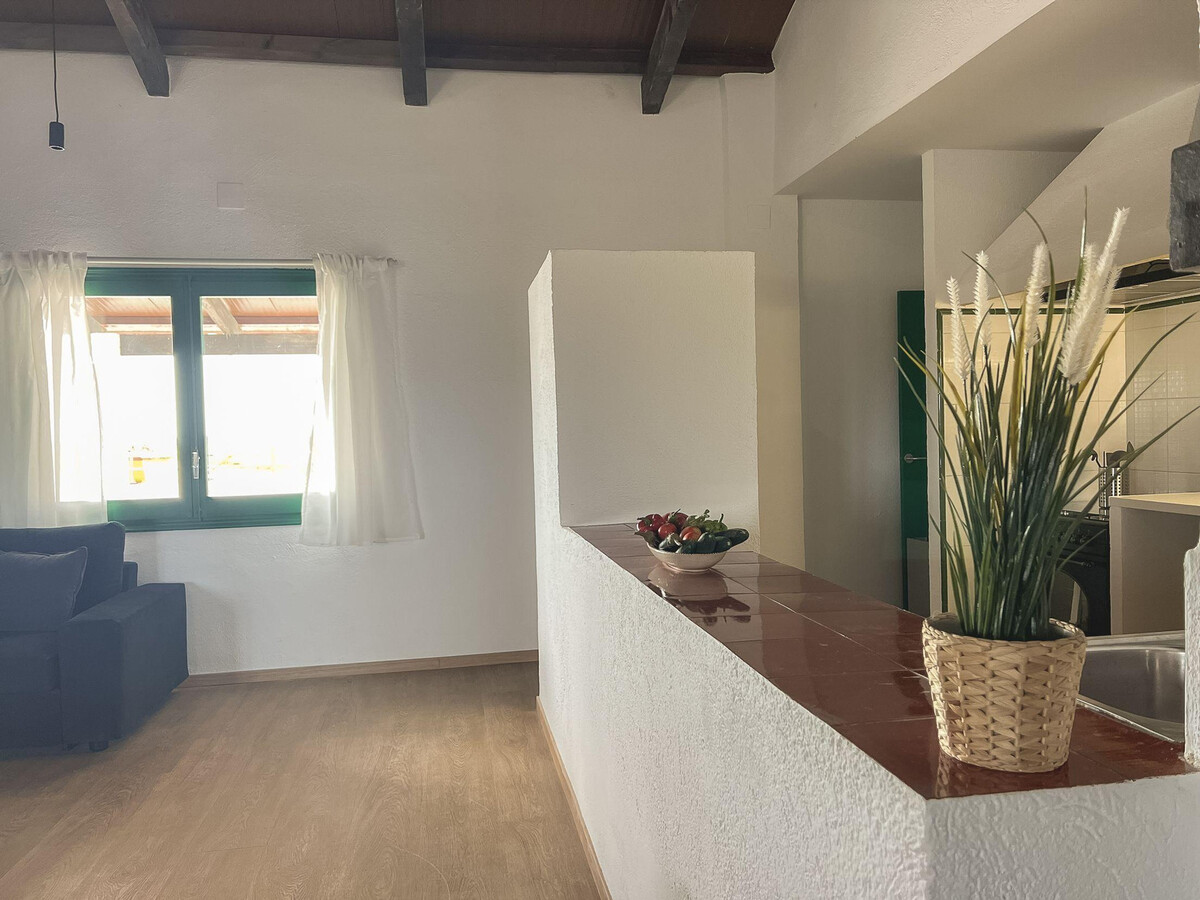 Maison de campagne 4 chambres dans le delta de l'Èbre - Photo 17