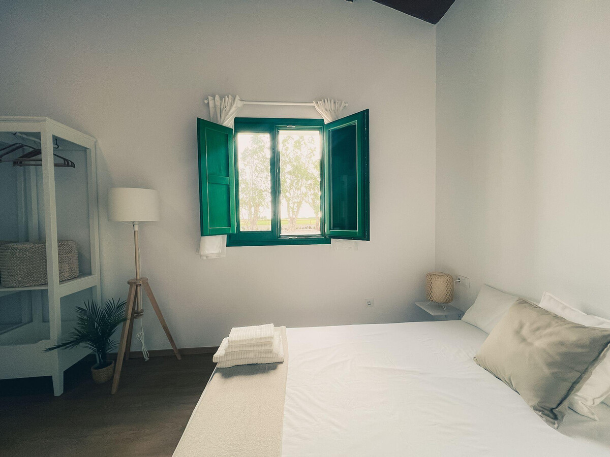 Maison de campagne 4 chambres dans le delta de l'Èbre - Photo 29