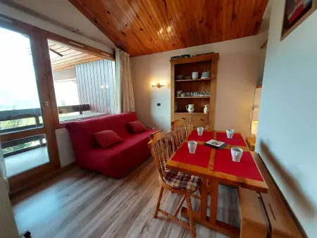 Location appartement à La Plagne Tarentaise, Studio divisible pour 4 personnes, centre station, animaux admis