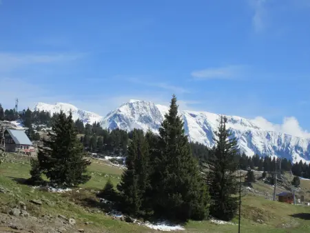 Studio 4 pers. au pied des pistes, balcon Est, Chamrousse : photo 12