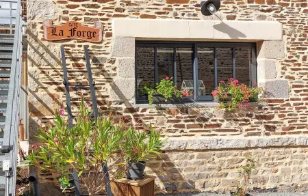 Maison historique 1798, 12 pers., jardin et terrasse : photo 11