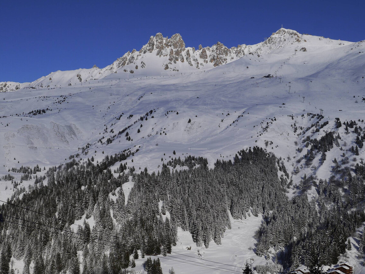 Appartement 4 pers. en bord de piste à Méribel Mottaret - Photo 9