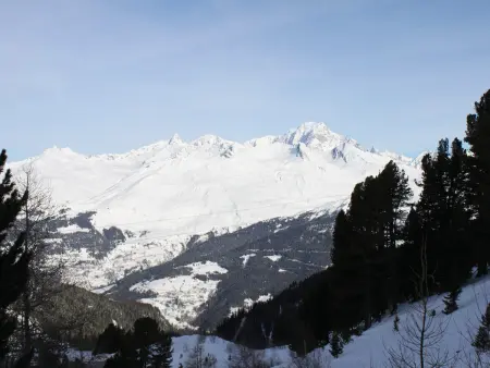 Studio 5 pers. face au Mont Blanc, pistes à 100 m, Les Arcs 2000 : photo 11