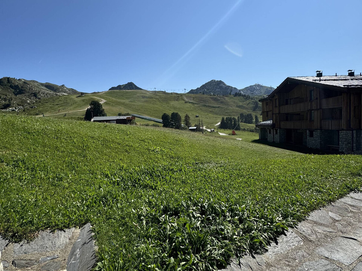 Studio 18m² skis aux pieds, animaux admis à Belle Plagne - Photo 5