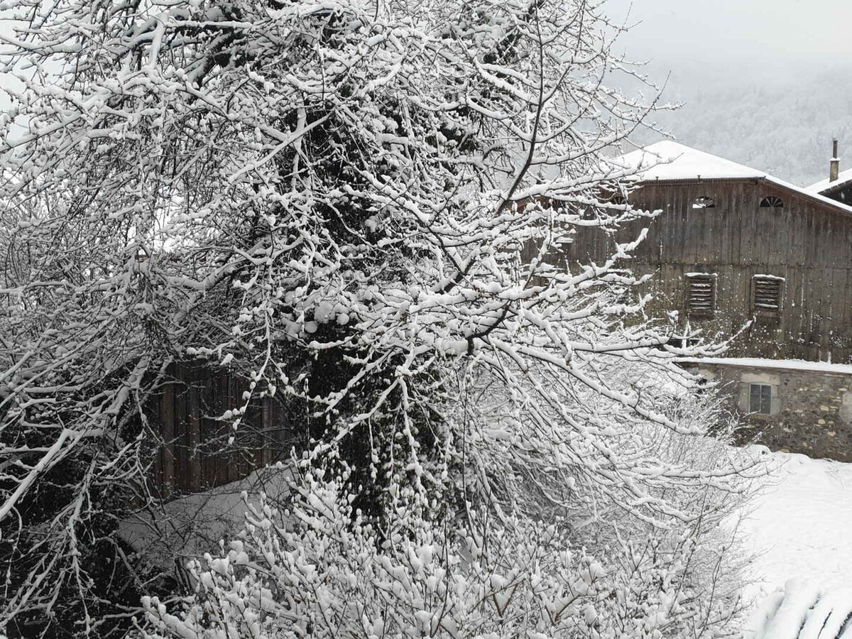 Studio 30m² lumineux avec balcon Sud à Samoëns - Photo 9