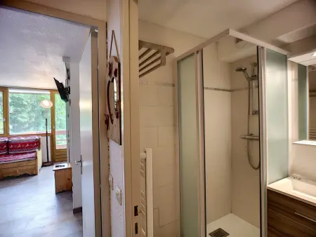 2 pièces + cabine rénové, 6 pers, ski aux pieds, Appartement 6 personnes à Les Menuires : photo 7