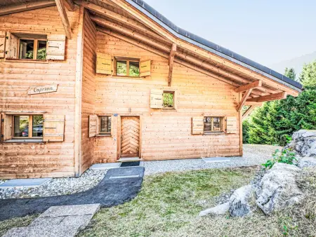 Dipankar, Chalet 9 personnes à Villars - Photo 30