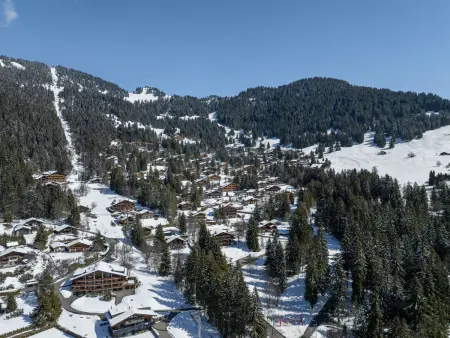 Dipankar, Chalet 9 personnes à Villars - Photo 34