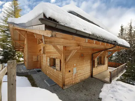 Dipankar, Chalet 9 personnes à Villars - Photo 37