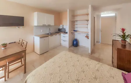 Studio 25 m² à Loupian près de l'étang de Thau : photo 3
