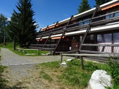 Studio 35m² terrasse sud, vue vallée aux Arcs 1600 : photo 14