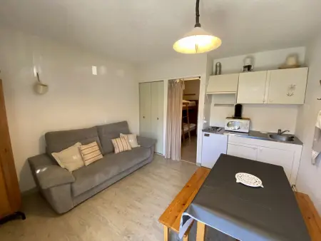 Studio Cabine 21 m² avec balcon vue montagne aux Angles : photo 5
