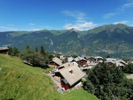 Studio 20m² ski aux pieds, balcon vallée à La Plagne : photo 7